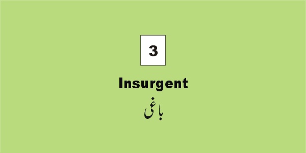 vocabulary_insurgent